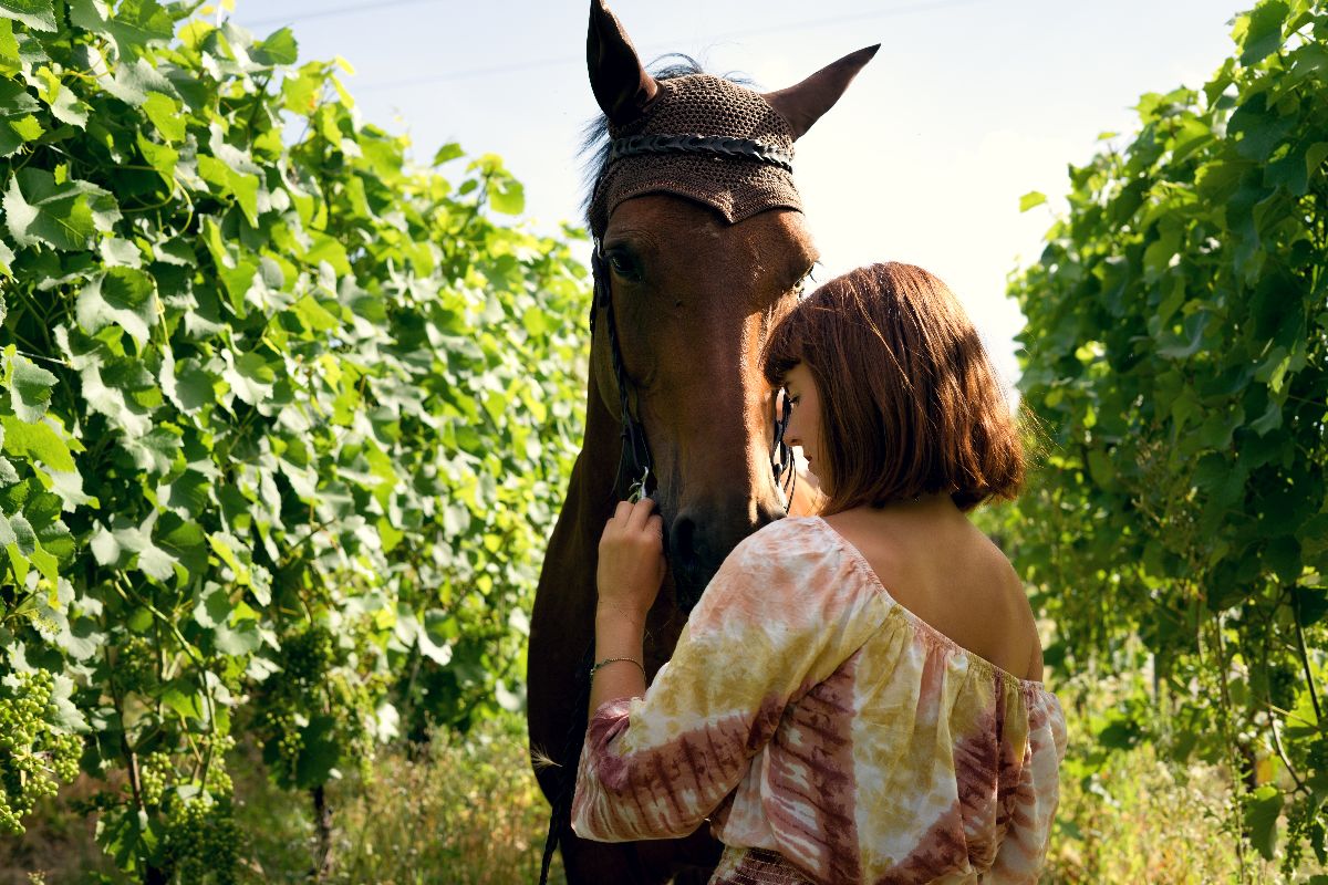 Magische Momente mit Pferden